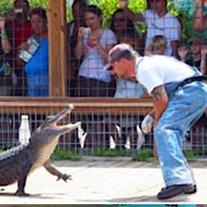 gatorland-kgs-tickets-02